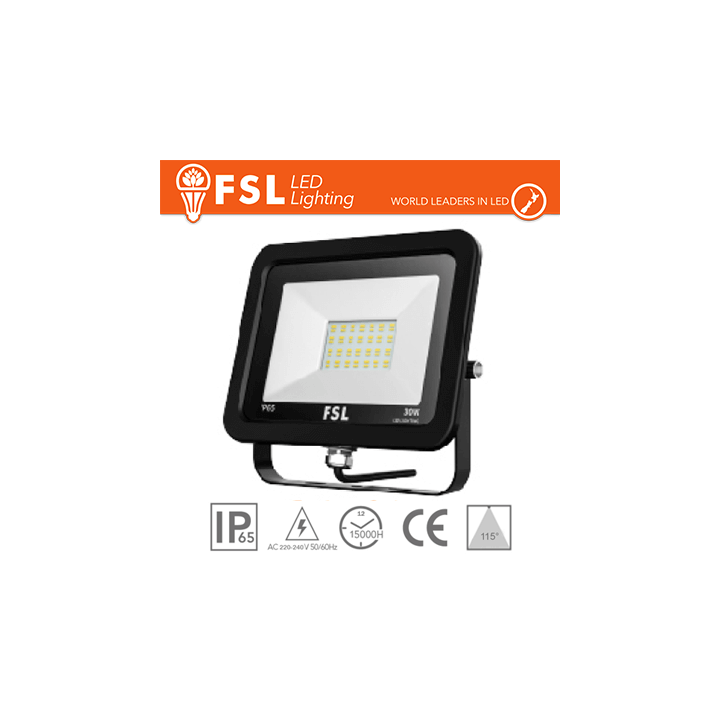 FLFSF809-30W40K
