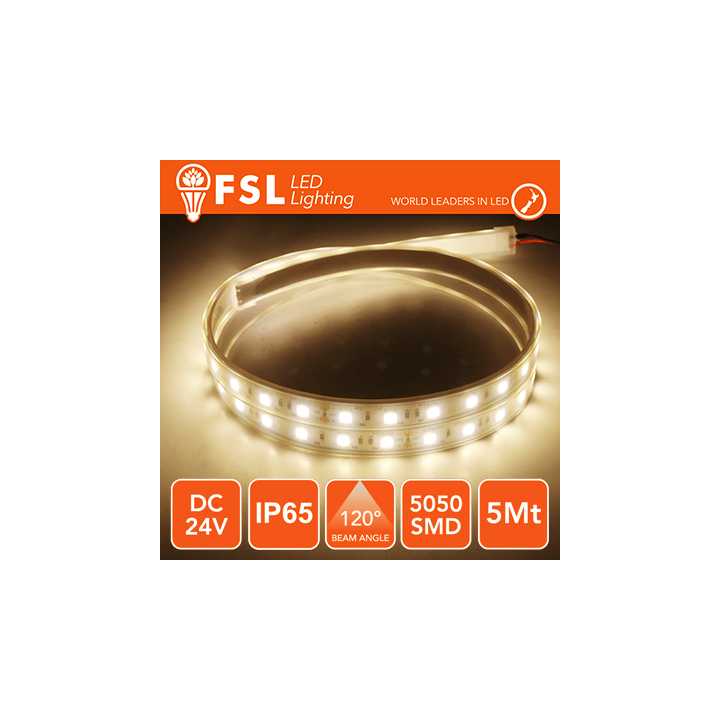 FLS5024V65IP30K