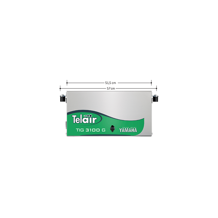 TIG3100G Generatore gas inverter