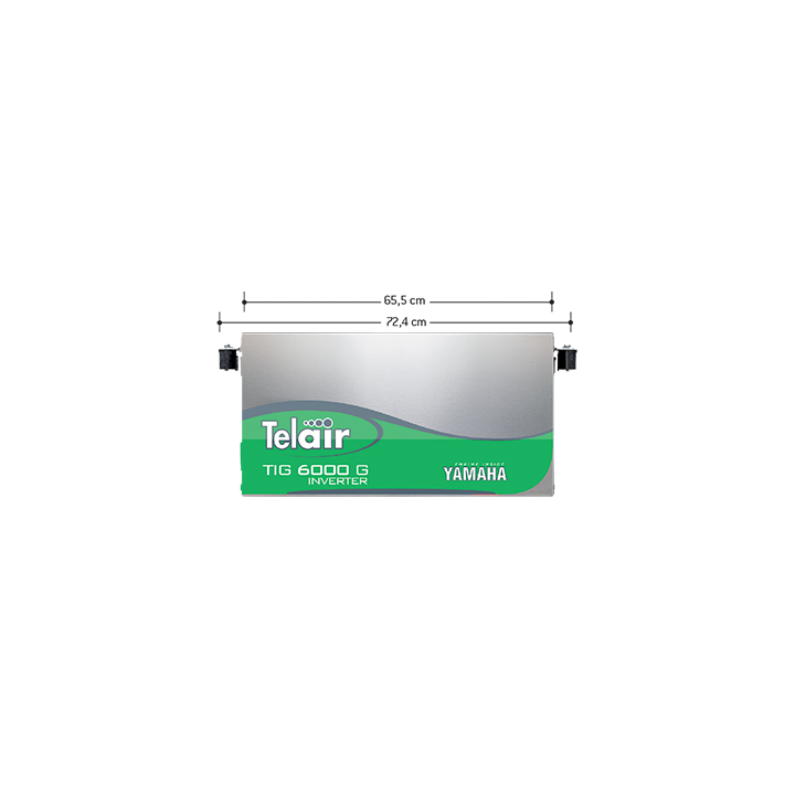 TIG6000G Generatore gas inverter