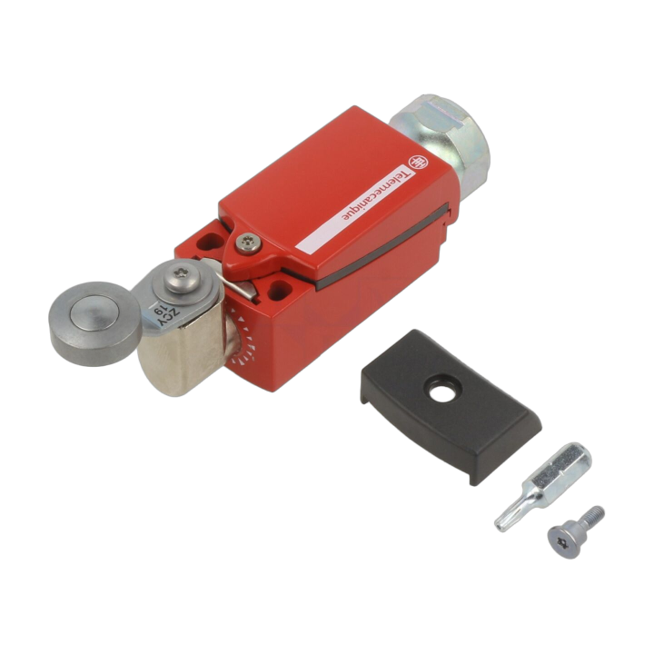 XCSD3919G13 Telemecanique - Finecorsa leva R 33 mm, rotel...