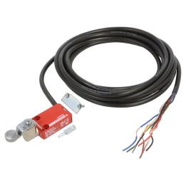 XCSM3916L5 Telemecanique - Finecorsa leva R 30,4 mm, rote...