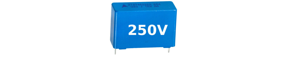 Condensatori a Film Poliestere Box 250V | Componenti Elettronici