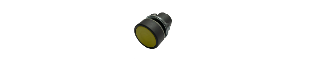 Pulsanti D22